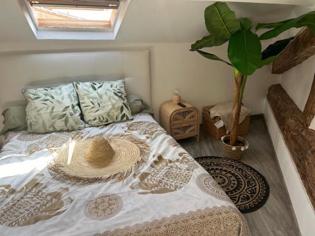 Le Bali By Perpignan Apartment Bagian luar foto